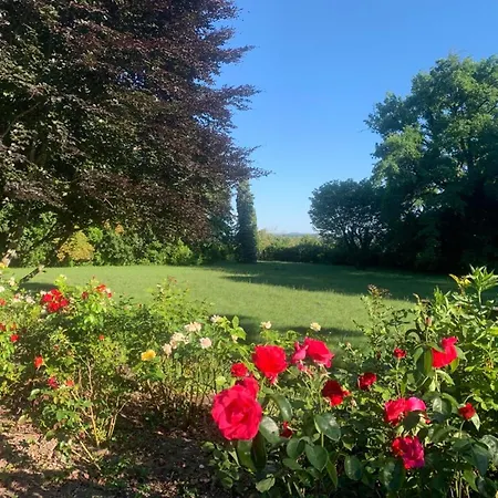 Demeure De 7 Avec Piscine Privee Jardin Clos Et Wifi A * Chaniers